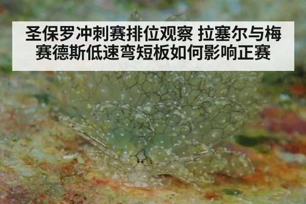 圣保罗冲刺赛排位观察 拉塞尔与梅赛德斯低速弯短板如何影响正赛